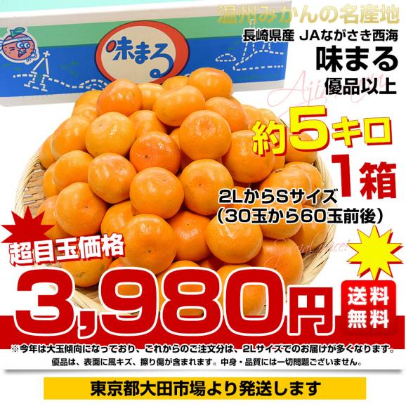 長崎県 JAながさき西海 味まる 2LからSサイズ 優品以上 約5キロ(30玉から60玉前後）送料無料 早生みかん ミカン 蜜柑　お歳暮 ギフト03