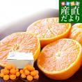 長崎県 JAながさき西海 味っ子 約2.8キロ(1.4キロ×2) LからMサイズ 送料無料 ミカン 蜜柑 みかん 長崎みかん 市場発送