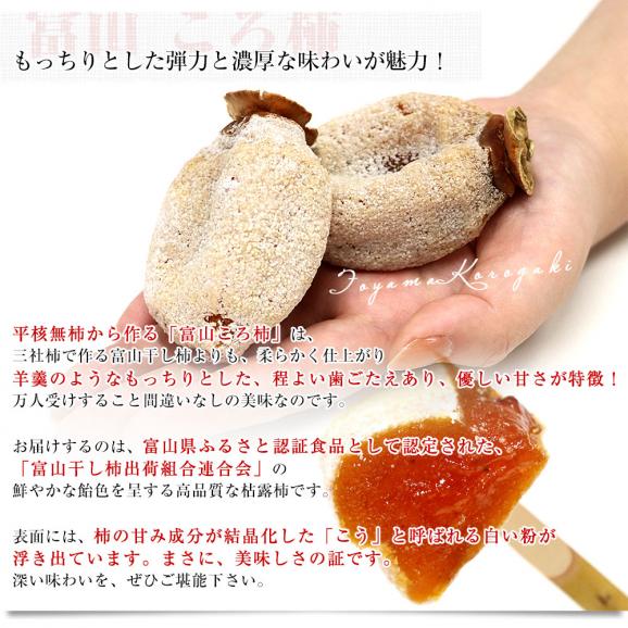 富山県産 富山県ふるさと認証食品 富山のころ柿 2Lサイズ 約720ｇ（45ｇ×16個入）送料無料 枯露柿　干し柿05