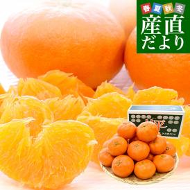 愛媛県産 JAえひめ中央 甘平 青秀品 4LからLサイズ 約5キロ(15玉から28玉前後) 送料無料 柑橘 オレンジ カンペイ