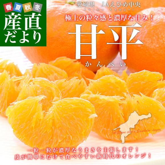 愛媛県産 JAえひめ中央 甘平 青秀品 4LからLサイズ 約5キロ(15玉から28玉前後) 送料無料 柑橘 オレンジ カンペイ02