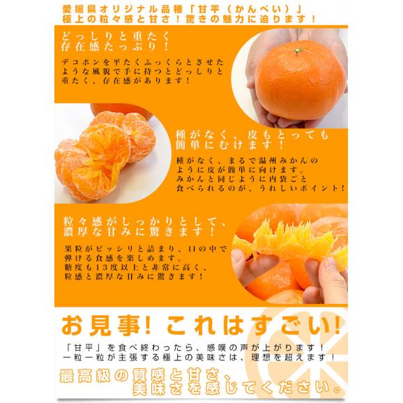 愛媛県産 JAえひめ中央 甘平 青秀品 4LからLサイズ 約5キロ(15玉から28玉前後) 送料無料 柑橘 オレンジ カンペイ04