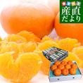愛媛県産 JAえひめ中央 甘平 赤秀品 化粧箱 ４Lから2Lサイズ 約3キロ(8玉から12玉前後) 送料無料 柑橘 オレンジ カンペイ