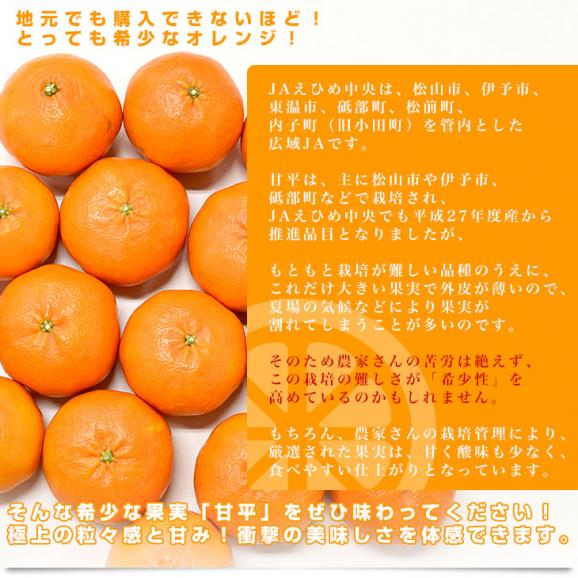 愛媛県産 JAえひめ中央 甘平 赤秀品 化粧箱 ４Lから2Lサイズ 約3キロ(8玉から12玉前後) 送料無料 柑橘 オレンジ カンペイ06