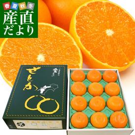 愛媛県産 JAえひめ中央 せとか 青秀品 化粧箱 2ＬからLサイズ 約3キロ（12玉から15玉） 送料無料 柑橘 オレンジ