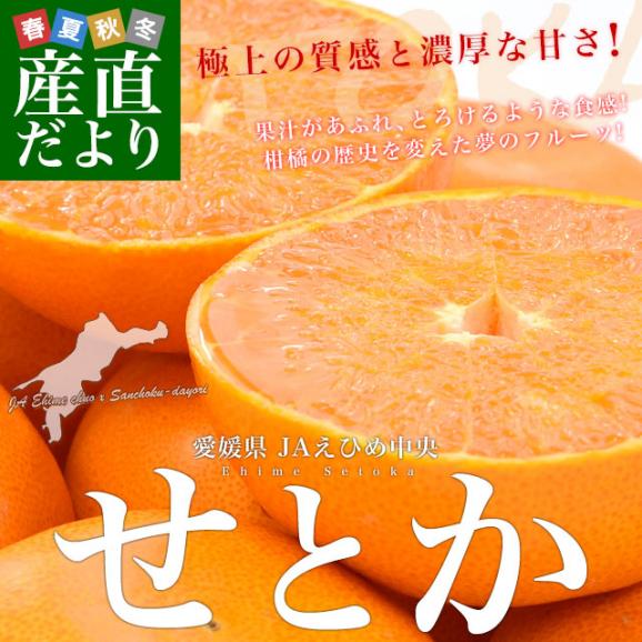 愛媛県産 JAえひめ中央 せとか 青秀品 化粧箱 2ＬからLサイズ 約3キロ（12玉から15玉） 送料無料 柑橘 オレンジ02