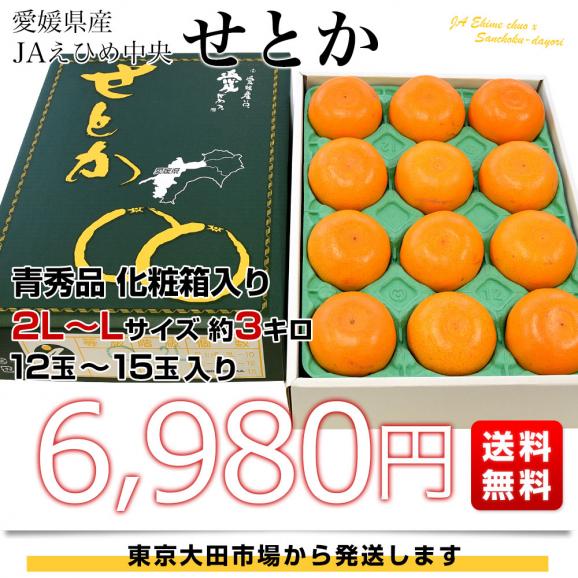 愛媛県産 JAえひめ中央 せとか 青秀品 化粧箱 2ＬからLサイズ 約3キロ（12玉から15玉） 送料無料 柑橘 オレンジ03