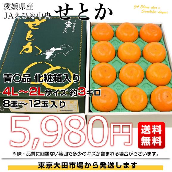 愛媛県産 JAえひめ中央 せとか 青〇品 化粧箱 4Lから2Lサイズ 約3キロ（8玉から12玉） 送料無料 柑橘 オレンジ03