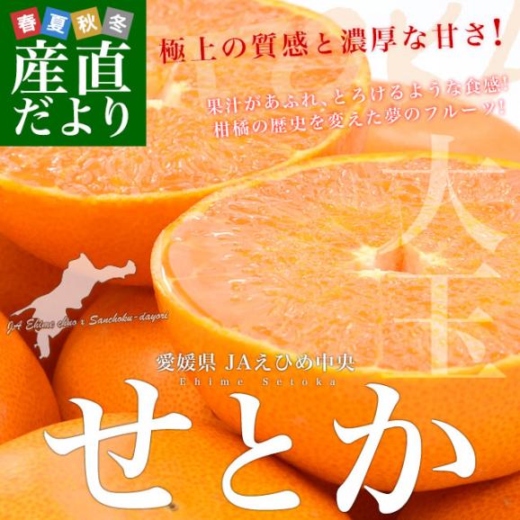 愛媛県産 JAえひめ中央 せとか 青秀品 化粧箱 大玉 4Ｌから3Lサイズ 約3キロ（8玉から10玉） 送料無料 柑橘 オレンジ02