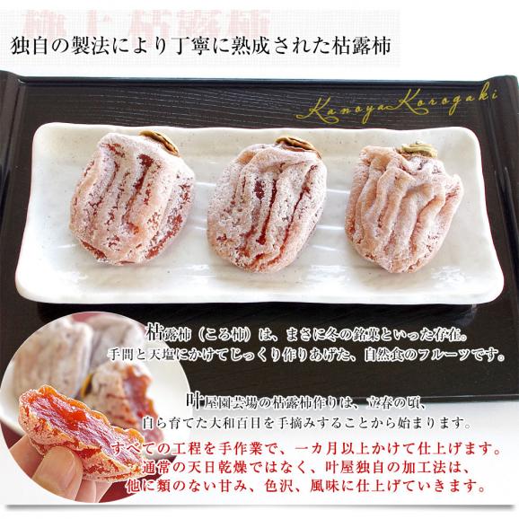 山梨県 南アルプス市 叶屋園芸場 枯露柿 化粧箱 6玉入り（1玉45g以上） 送料無料 ころ柿 干柿 干し柿 ギフト04