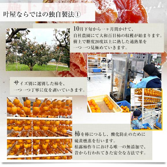 山梨県 南アルプス市 叶屋園芸場 枯露柿 化粧箱 6玉入り（1玉45g以上） 送料無料 ころ柿 干柿 干し柿 ギフト05