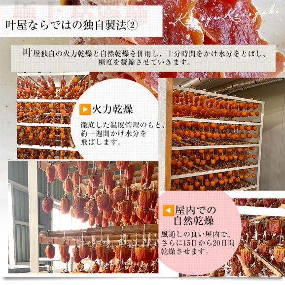 山梨県 南アルプス市 叶屋園芸場 枯露柿 化粧箱 6玉入り（1玉45g以上） 送料無料 ころ柿 干柿 干し柿 ギフト06
