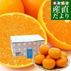 愛媛県産 JAえひめ中央 せとか 優品又は青〇以上　3LからLサイズ 約2.5キロ（7玉から12玉前後）送料無料 柑橘 オレンジ