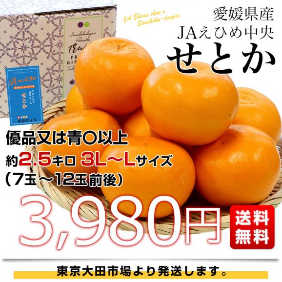 愛媛県産 JAえひめ中央 せとか 優品又は青〇以上　3LからLサイズ 約2.5キロ（7玉から12玉前後）送料無料 柑橘 オレンジ03