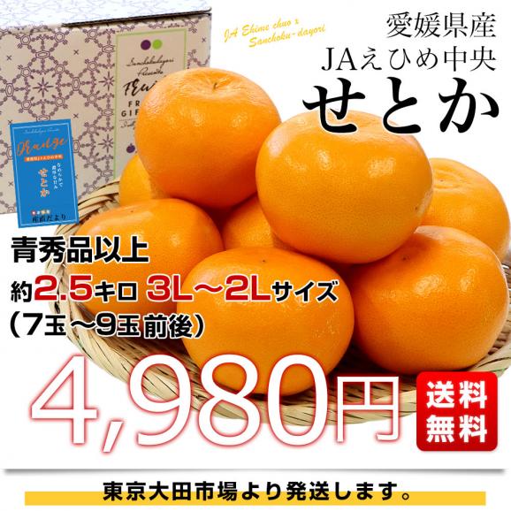 愛媛県産 JAえひめ中央 せとか 青秀以上　3Lから2Lサイズ 約2.5キロ（7玉から9玉前後）送料無料 柑橘 オレンジ03