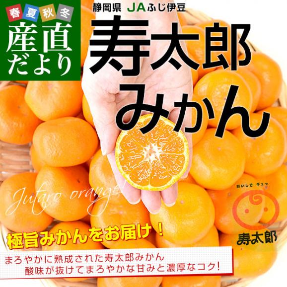静岡県産 JAふじ伊豆 西浦柑橘出荷部会 寿太郎みかん 約2.5キロ  LからSサイズ（20玉から32玉前後） みかん ミカン 市場発送02