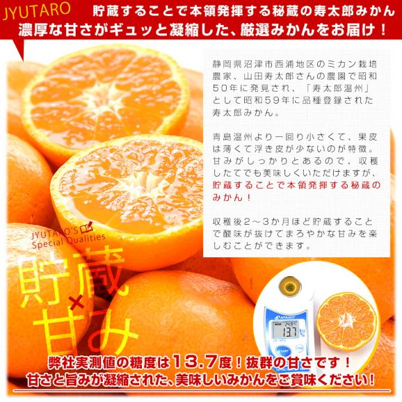 静岡県産 JAふじ伊豆 西浦柑橘出荷部会 寿太郎みかん 約2.5キロ  LからSサイズ（20玉から32玉前後） みかん ミカン 市場発送04