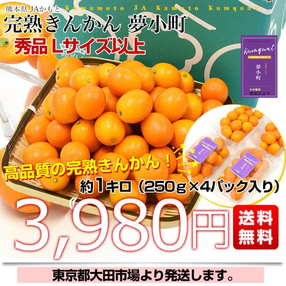 熊本県 JAかもと 完熟きんかん「夢小町」秀品 約1キロ（250g×4パック入り） Lサイズ以上 送料無料 金柑 柑橘 市場発送03