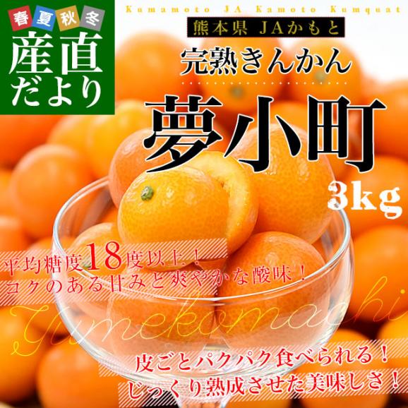 熊本県 JAかもと 完熟きんかん「夢小町」秀品 約3キロ Lサイズ以上 送料無料 金柑 柑橘 市場発送02