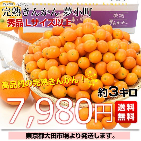 熊本県 JAかもと 完熟きんかん「夢小町」秀品 約3キロ Lサイズ以上 送料無料 金柑 柑橘 市場発送03