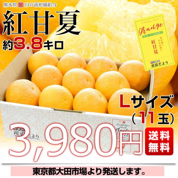 熊本県 田の浦柑橘組合 「紅甘夏」Lサイズ 約3.8キロ(11玉) 送料無料 かんきつ 甘夏 アマナツ べにあまなつ03