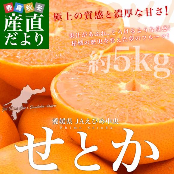 愛媛県産 JAえひめ中央 せとか 優品又は青〇以上　3LからLサイズ 約5キロ（14玉から24玉前後）送料無料 柑橘 オレンジ02