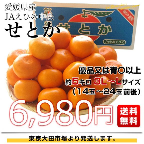 愛媛県産 JAえひめ中央 せとか 優品又は青〇以上　3LからLサイズ 約5キロ（14玉から24玉前後）送料無料 柑橘 オレンジ03