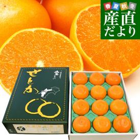愛媛県産 JAえひめ中央 せとか 赤秀品 化粧箱 3ＬからLサイズ 約3キロ（10玉から15玉） 送料無料 柑橘 オレンジ