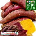 千葉県産 JAかとり 紅はるか BLサイズ 約5キロ 10本から13本前後（形不揃い） 送料無料 さつまいも サツマイモ 薩摩芋 新芋 市場発送