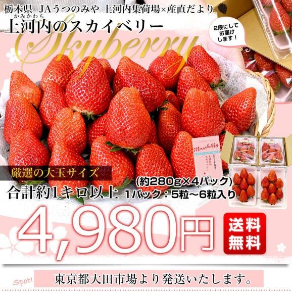 栃木県産 JAうつのみや「上河内のスカイベリー」大玉サイズ 合計1キロ以上 (約280g&times;4パック) 1パック：5粒から6粒入り 送料無料 苺 いちご イチゴ 栃木いちご 03