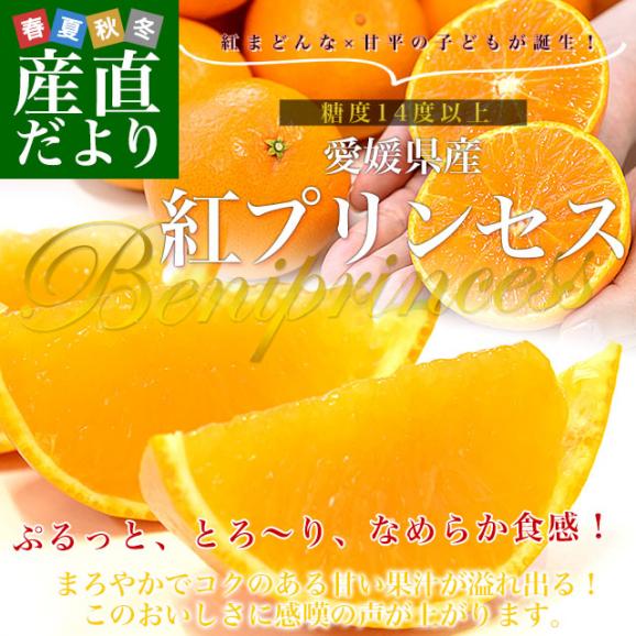 愛媛県 JA全農えひめ「紅プリンセス」秀品 約2.5キロ2LからM 愛媛県 JA全農えひめ「紅プリンセス」秀品 約2.5キロ2LからM