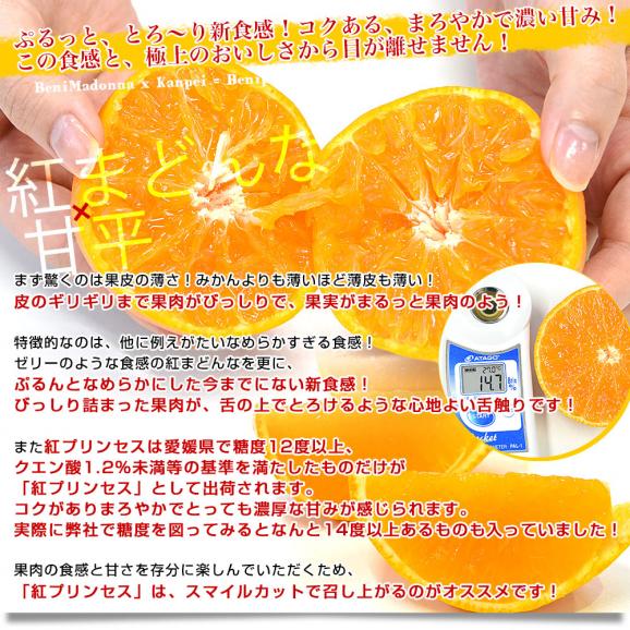 愛媛県産「紅プリンセス」優品以上 約2.5キロ2LからMサイズ(10玉から16玉前後入り) 送料無料 柑橘 紅まどんな 甘平 市場発送05