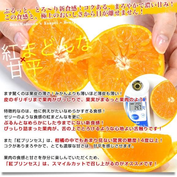 愛媛県 JA全農えひめ「紅プリンセス」秀品 約2.5キロ2LからM 愛媛県 JA全農えひめ「紅プリンセス」秀品 約2.5キロ2LからM