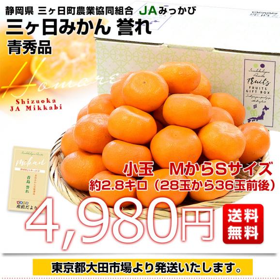 静岡県 JAみっかび 三ヶ日みかん 青島誉れ 希少な小玉 ＭからSサイズ 青秀品 約2.8キロ（28玉から36玉前後）蜜柑 ミカン 青島みかん 送料無料03