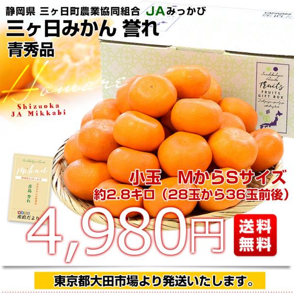 静岡県産 JAみっかび 三ヶ日みかん 青島誉れ 希少な小玉 MからSサイズ 青秀品 約2.8キロ（28玉から36玉前後）蜜柑 ミカン 青島みかん 送料無料03