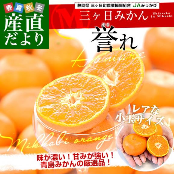 静岡県産 JAみっかび 三ヶ日みかん 青島誉れ　希少な小玉 MからSサイズ 青秀品 約4キロ（40玉から50玉前後）蜜柑 ミカン 青島みかん 送料無料02