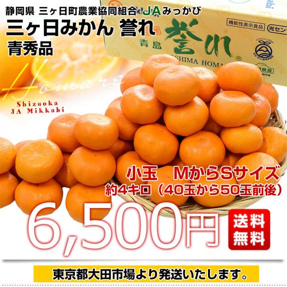 静岡県産 JAみっかび 三ヶ日みかん 青島誉れ　希少な小玉 MからSサイズ 青秀品 約4キロ（40玉から50玉前後）蜜柑 ミカン 青島みかん 送料無料03