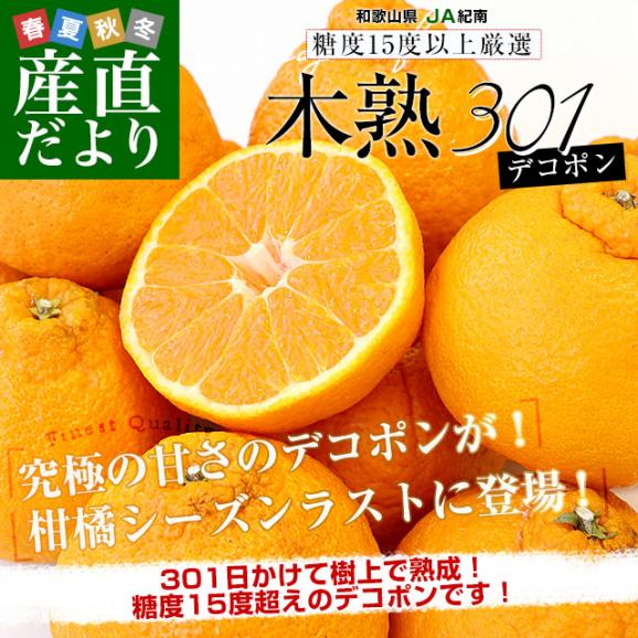 和歌山県 JA紀南 木熟301 デコポン ４Lから３Lサイズ 秀品 約3キロ（８玉から10玉前後） 柑橘 かんきつ 送料無料02