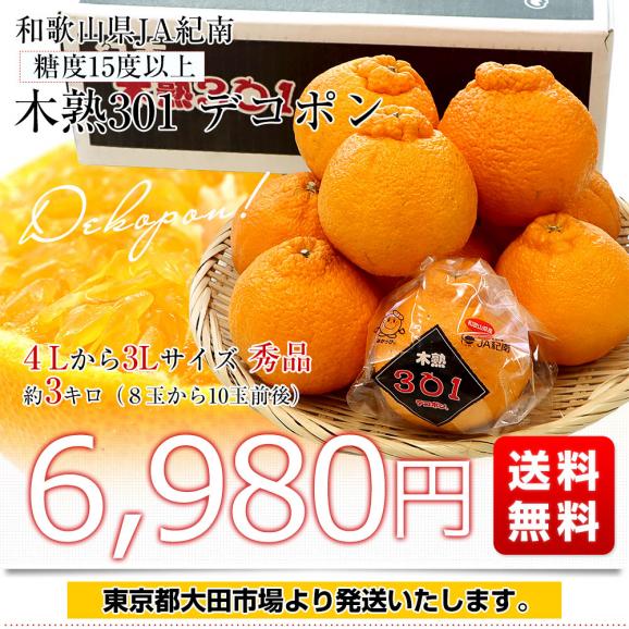 和歌山県 JA紀南 木熟301 デコポン ４Lから３Lサイズ 秀品 約3キロ（８玉から10玉前後） 柑橘 かんきつ 送料無料03