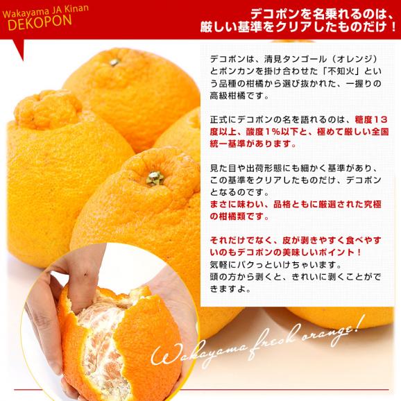 和歌山県 JA紀南 木熟301 デコポン ４Lから３Lサイズ 秀品 約3キロ（８玉から10玉前後） 柑橘 かんきつ 送料無料04