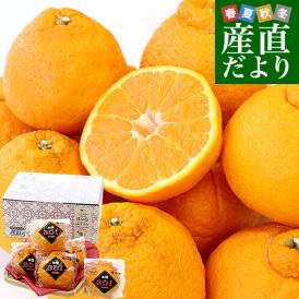 和歌山県 JA紀南 木熟301 デコポン ４Lから３Lサイズ 秀品 1.8キロ前後（6玉） 柑橘 かんきつ 送料無料