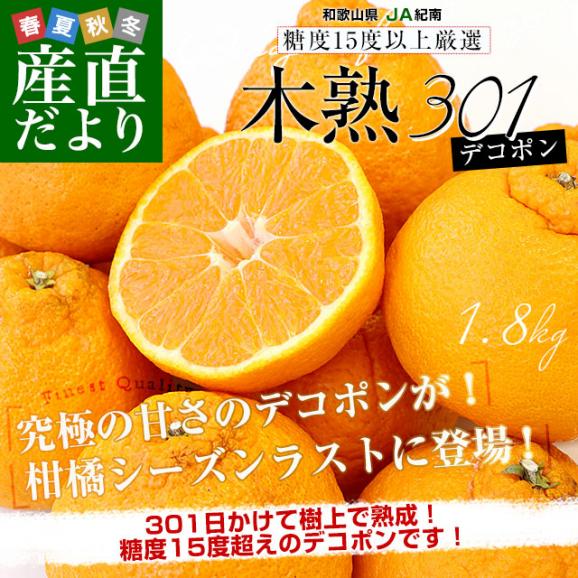 和歌山県 JA紀南 木熟301 デコポン 4Lから3Lサイズ 秀品 1.8キロ前後（6玉） 柑橘 かんきつ 送料無料02
