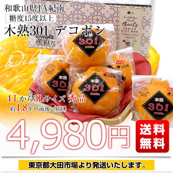 和歌山県 JA紀南 木熟301 デコポン 4Lから3Lサイズ 秀品 1.8キロ前後（6玉） 柑橘 かんきつ 送料無料03