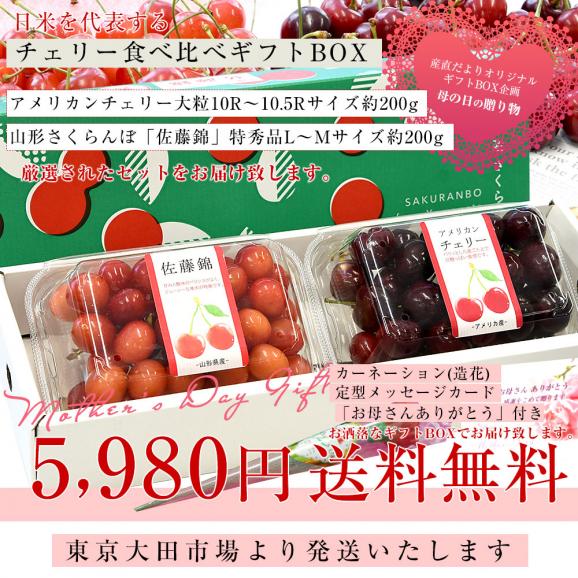 【遅れてごめんね母の日】チェリー食べ比べギフトBOX アメリカンチェリー 大粒10Rから10.5Rサイズ 約200g・山形「佐藤錦」特秀品LからMサイズ約200g 送料無料 チェリー サクランボ 桜桃03