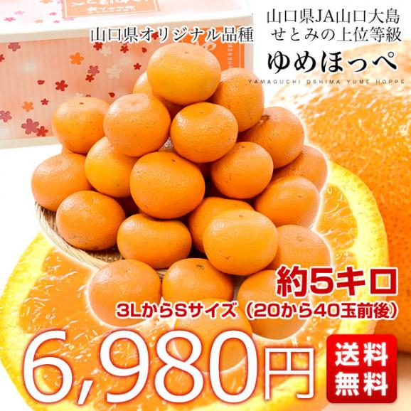 山口県産　JA山口大島　ゆめほっぺ　（最上級のせとみ）　3LからS　5キロ（20玉から40玉前後）送料無料　柑橘　オレンジ　せとみ　市場スポット03