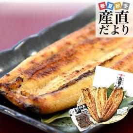 山田の鰻を味わい尽くす！旨み際立つ白醬油焼きと希少な肝佃煮！