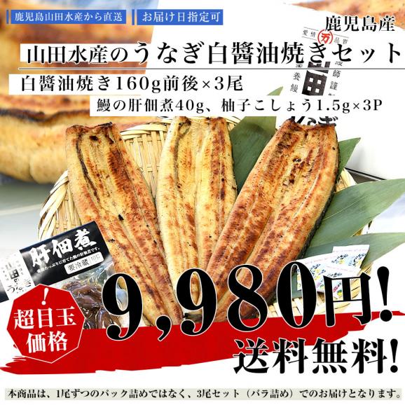 鹿児島県志布志産 山田のうなぎ白醤油焼きセット「白醤油焼き160g前後×3尾」＋「鰻の肝佃煮40g」＋「柚子こしょう3P」送料無料 鰻師 加藤尚武さん ウナギ 白醬油 肝 佃煮  クール冷凍便 ギフト03