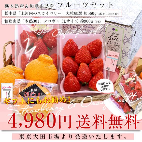 栃木県 JAうつのみや「上河内のスカイベリー」 大粒厳選 約560g (5粒から9粒×2P) ＆和歌山県 JA紀南「木熟301」デコポン 3Lサイズ 秀品 約900g(3玉) 送料無料 フルーツギフト03