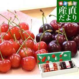 チェリー食べ比べギフトBOX 山形県JAみちのく村山 ハウス栽培さくらんぼ「佐藤錦」特秀品 LからMサイズ約200g・アメリカンチェリー 大粒10.5R 約200g 送料無料 サクランボ