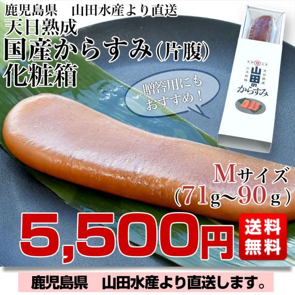 鹿児島県 山田水産より直送 天日熟成 国産からすみ 片腹 化粧箱 Mサイズ （71gから90ｇ） 送料無料 カラスミ ボラ 珍味 魚卵 おつまみ 肴 ※クール冷凍便03